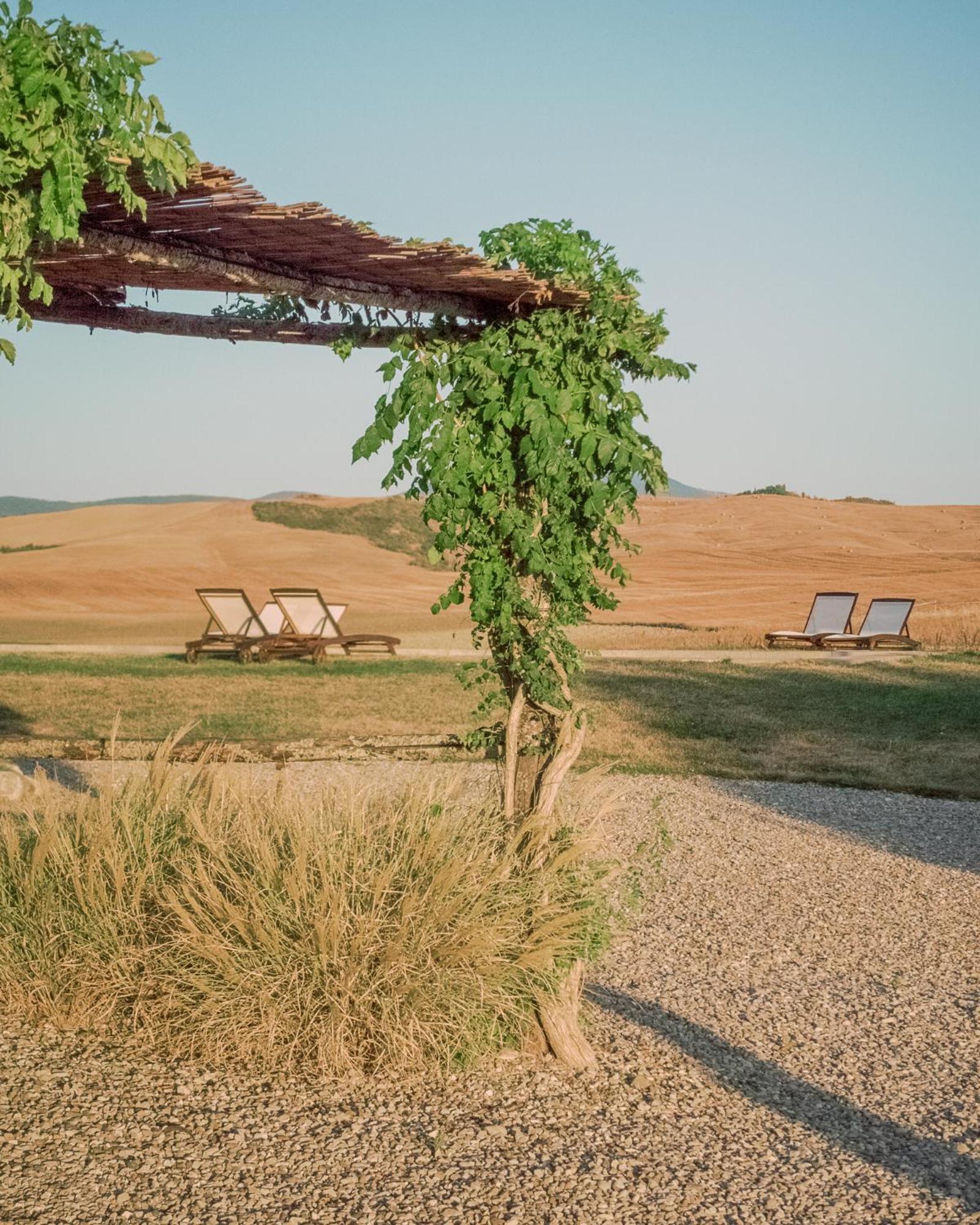 Locanda In Tuscany カスティリオーネ・ドルチャ エクステリア 写真